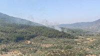 İzmir Kemalpaşa'daki orman yangını söndürüldü