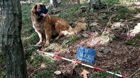 Çekya’da bir köpek 14. yüzyıldan kalma hazine buldu