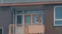 Hollanda'da yoldan geçenlere oklu saldırı: 2 ölü 1 yaralı