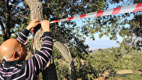 Olay yeri girilmez: Tarlasına dadanan domuzlara karşı ilginç güvenlik şeridi