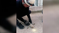 İtfaiye eri kalbi duran yavru kediyi hayata döndürmek için zamanla yarıştı
