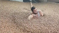 Ordu'da TikToker fındıkların içinde yüzüyor