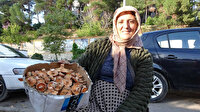 Dağlardan bin bir emekle getiriyorlar: Kazancı dudak uçuklatıyor