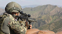 Bir terör örgütü mensubu daha ikna yoluyla teslim oldu