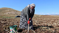 Onlarca kişi akın etti: Toprağın altından elleri ile tek tek çıkartıyorlar