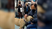 İBB'nin 'PR' köpeği Boji tartışma konusu oldu