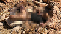 Mardin'de cezaevinden yeni çıkan adamın cansız bedeni yakılmış halde arazide bulundu