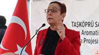 Bakan yardımcısından CHP'li vekilin sözlerine yalanlama: Tek kuruş dahi ödeme yapılmadı