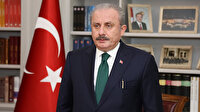 TBMM Başkanı Şentop İtalyan gazetesine makale yazdı: İtalya ile ortak çalışma iradesini G20'ye de taşımalıyız