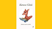 Kitapların özeti bir kitap