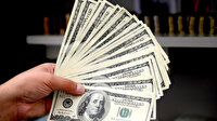 Merkez Bankası yıl sonu enflasyon ve dolar tahminini açıkladı