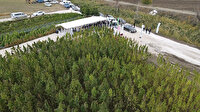 Kenevirde hasat zamanı: Otomotivden kozmetiğe kadar birçok sektörde kullanılacak