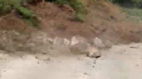 Rize'de heyelanda bahçe duvarı böyle çöktü