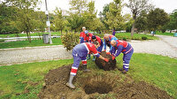 Hedef 2 bin ağaç kazandırmak