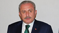 TBMM Başkanı Şentop: Türkiye dünyada tesir gücüne sahip bir ülke