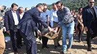 Tedavi edilen deniz kaplumbağaları yaşam alanlarına geri döndü