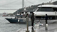 Arnavutköy'de denizanaları sahil şeridini kapladı