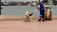 Tuzla'da iç ısıtan görüntü: Temizlik personeli sokak köpeğinin sırtını kaşıdı
