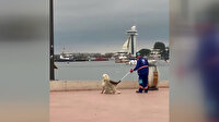 Temizlik personeli ve köpeğin yürekleri ısıtan görüntüsü