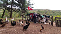 Bursa'da teknolojik çoban: Kulübesinde TV izlemek için dereye santral kurdu