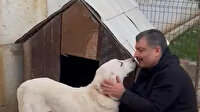 Fahrettin Koca doğum yapan köpeği Sultan'la videosunu paylaştı