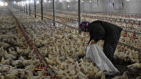 Rahatsızlanınca satmaya karar verdiği tesisin başına eşi geçti: Eşimle beraber başardık