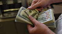 Dolar güne kaç liradan başladı?