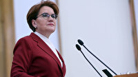 Şehit kardeşine hakareti mazur gören Akşener Başak Demirtaş'a destek çıkmıştı