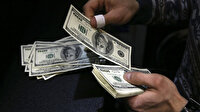 Dolar güne kaç liradan başladı?