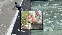 Dolarlar yola saçıldı, trafik durdu! Herkes para topladı