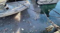 Arnavutköy sahili atıklar ve denizanalarıyla doldu: Geziye çıkıyorlar pisliği buraya atıyorlar