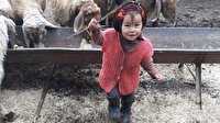 Küçük Müslüme'ye ne oldu? Soruşturma derinleşti, aile üyelerinin sorgusu devam ediyor