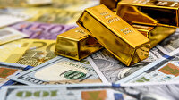 Dolar, euro ve altın tüm zamanların en yüksek seviyesini gördü