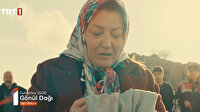 Gönül Dağı 41. bölüm 2. fragmanı: Doktor Kenan'ı kurtlar mı parçaladı?