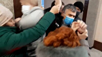Rusya'da kısıtlama karşıtları meclis binasını bastı