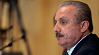 Mustafa Şentop'tan AİHM eleştirisi: Teröristleri savunmayı bırakmalı
