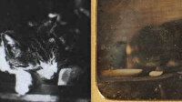 "Dünyanın en eski kedi fotoğrafı 1880’de çekildi" yalanı