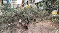 İstanbul Emniyet Müdürlüğü: Lodos nedeniyle 2 kişi hayatını kaybetti