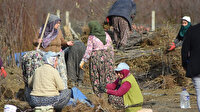 İnegöl'den 9 ülkeye ihraç ediliyor: 10 milyon dolar döviz girdisi var