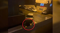 Komşu terörü mahalleyi canından bezdirdi