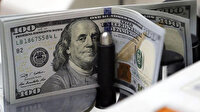 Merkez Bankası'nın rezervleri 126,1 milyar dolar oldu