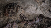 Antik Roma kenti Herculaneum'da yanardağdan kaçarken ölen 2 bin yıllık erkek iskeleti bulundu