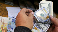 Merkez Bankasından dövize bir müdahale daha