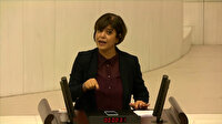 HDP'li Meral Danış Beştaş: Abdullah Öcalan'ın barış getireceğini biliyorsunuz
