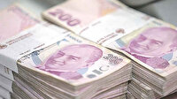 Hibe desteği hesaplara yattı