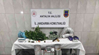 Villayı uyuşturucu serasına çevirdiler: 2 gözaltı