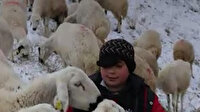 Sivaslı çocuk çoban babasına yardım ederek koyunları otlatıyor
