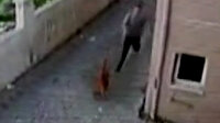 İzmir'de Pitbull dehşeti: Sahibi tasmayı bırakınca küçük çocuğa saldırdı