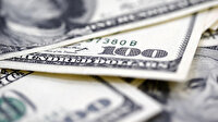 Dolar ne kadar? 29 Aralık canlı dolar fiyatı, son durum