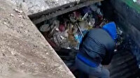 Tokat'ta vatandaşlar çöp ayrıştırma makinesine düşen köpek için seferber oldular